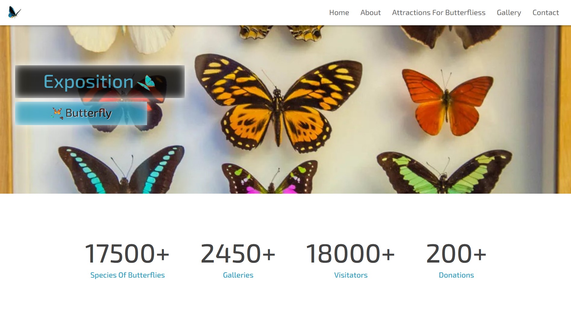 img-website butterfly